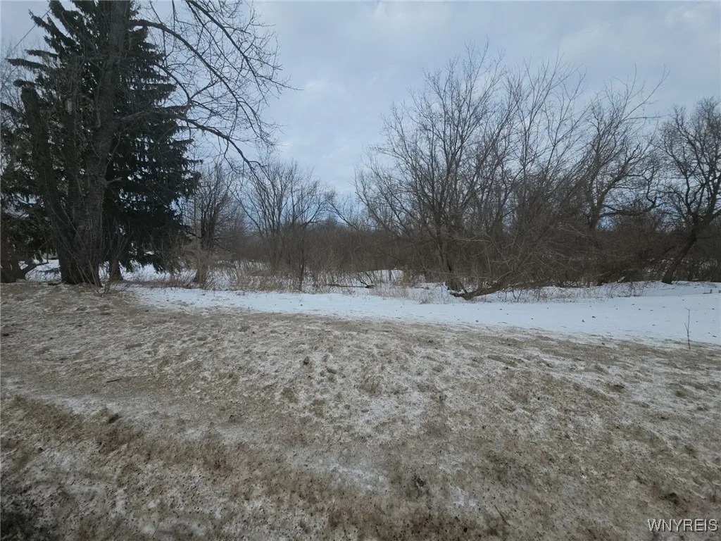 7881 Chestnut Ridge Road, Royalton, New York 14067, Royalton, New York 14067, 4 Bedrooms Bedrooms, 8 Rooms Rooms,1 BathroomBathrooms,Residential,Closed,7881 Chestnut Ridge Road, Royalton, New York 14067,0,B1594972