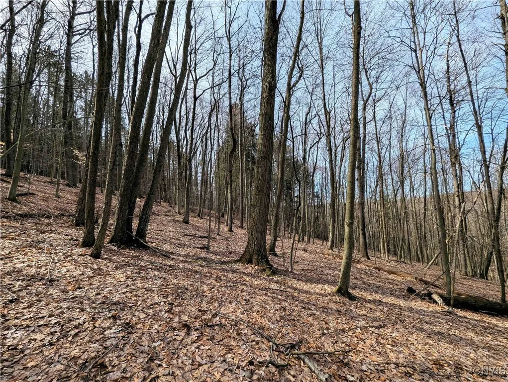 Ryan Hollow Road, Cohocton, New York 14826, Cohocton, New York 14826, ,Land,For Sale,Ryan Hollow Road, Cohocton, New York 14826,S1598089