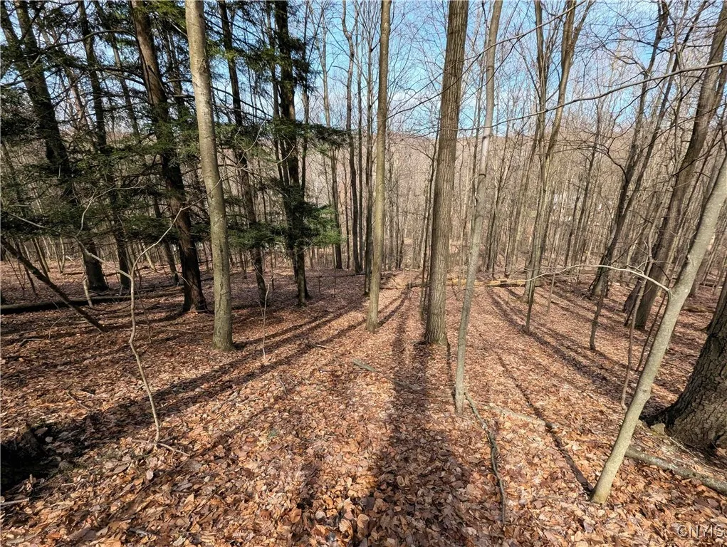 Ryan Hollow Road, Cohocton, New York 14826, Cohocton, New York 14826, ,Land,For Sale,Ryan Hollow Road, Cohocton, New York 14826,S1598089