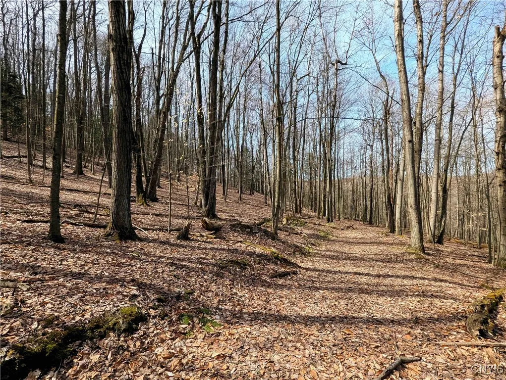 Ryan Hollow Road, Cohocton, New York 14826, Cohocton, New York 14826, ,Land,For Sale,Ryan Hollow Road, Cohocton, New York 14826,S1598089