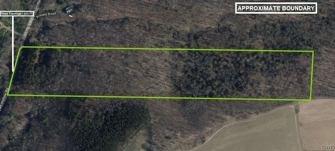 Ryan Hollow Road, Cohocton, New York 14826, Cohocton, New York 14826, ,Land,For Sale,Ryan Hollow Road, Cohocton, New York 14826,S1598089