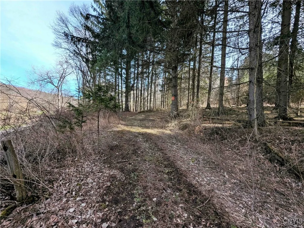 Ryan Hollow Road, Cohocton, New York 14826, Cohocton, New York 14826, ,Land,For Sale,Ryan Hollow Road, Cohocton, New York 14826,S1598089