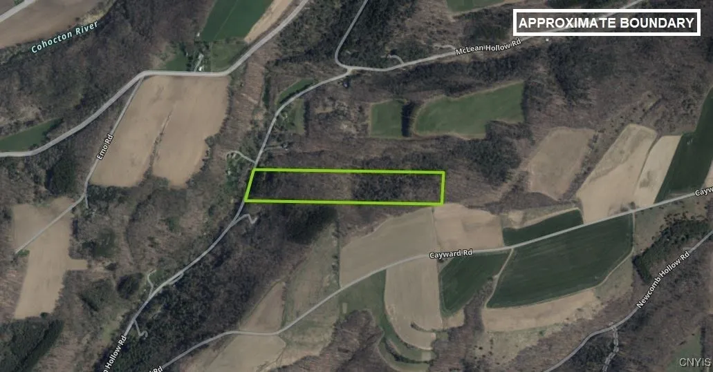 Ryan Hollow Road, Cohocton, New York 14826, Cohocton, New York 14826, ,Land,For Sale,Ryan Hollow Road, Cohocton, New York 14826,S1598089