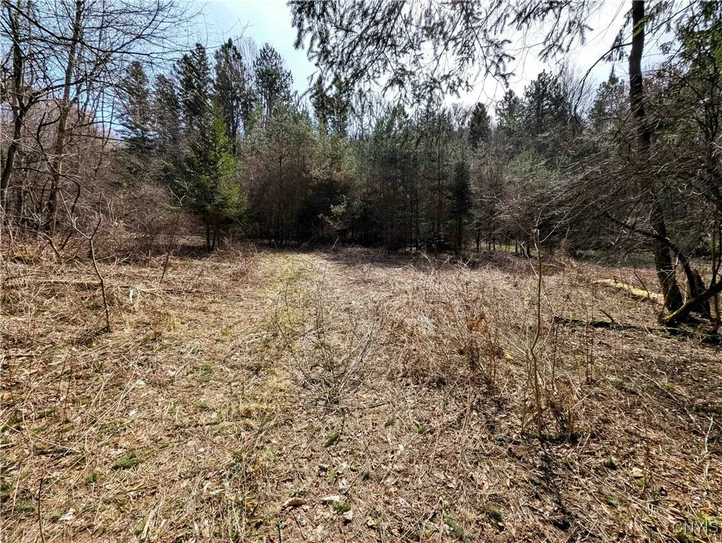 Ryan Hollow Road, Cohocton, New York 14826, Cohocton, New York 14826, ,Land,For Sale,Ryan Hollow Road, Cohocton, New York 14826,S1598089