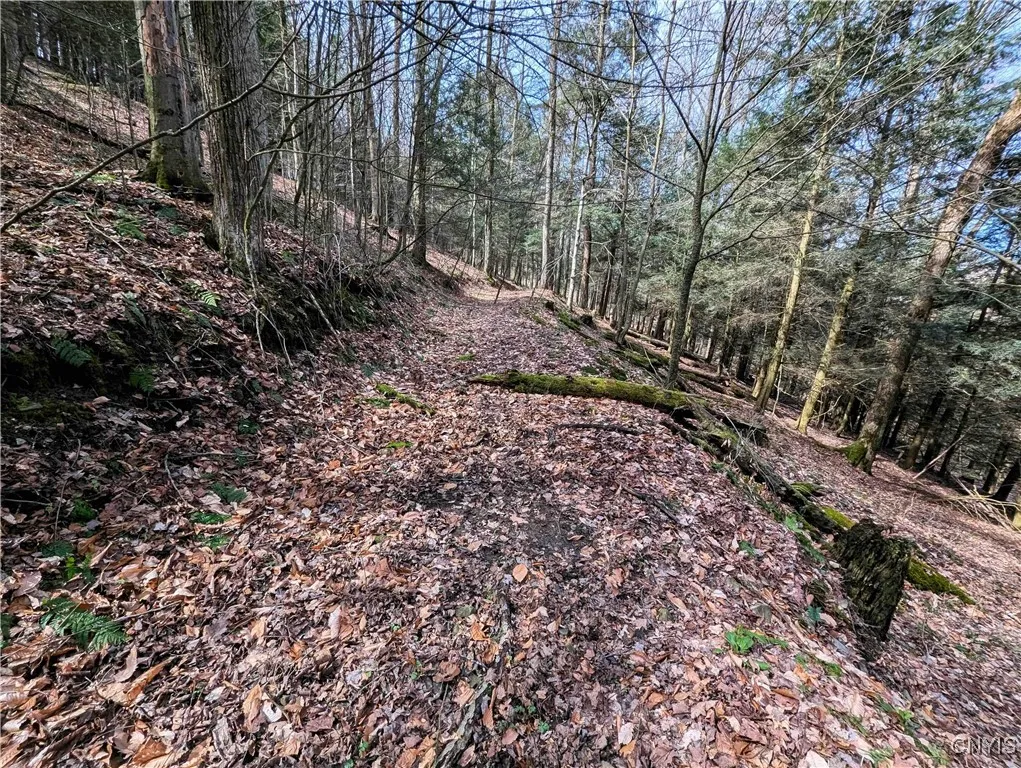 Ryan Hollow Road, Cohocton, New York 14826, Cohocton, New York 14826, ,Land,For Sale,Ryan Hollow Road, Cohocton, New York 14826,S1598089