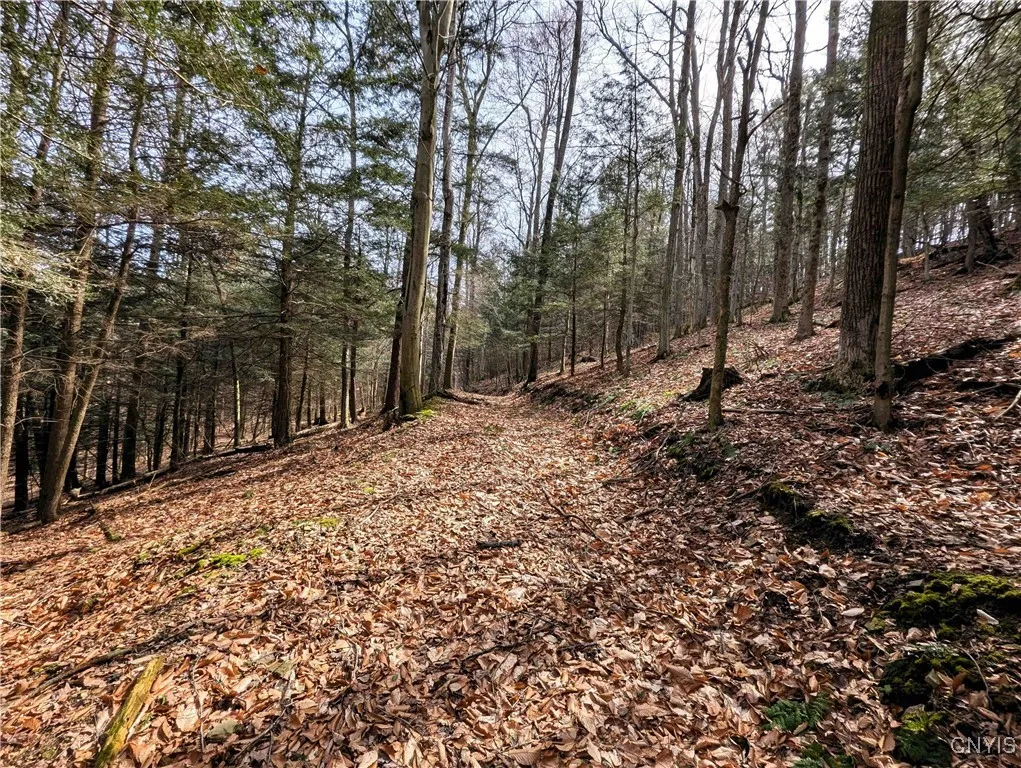 Ryan Hollow Road, Cohocton, New York 14826, Cohocton, New York 14826, ,Land,For Sale,Ryan Hollow Road, Cohocton, New York 14826,S1598089