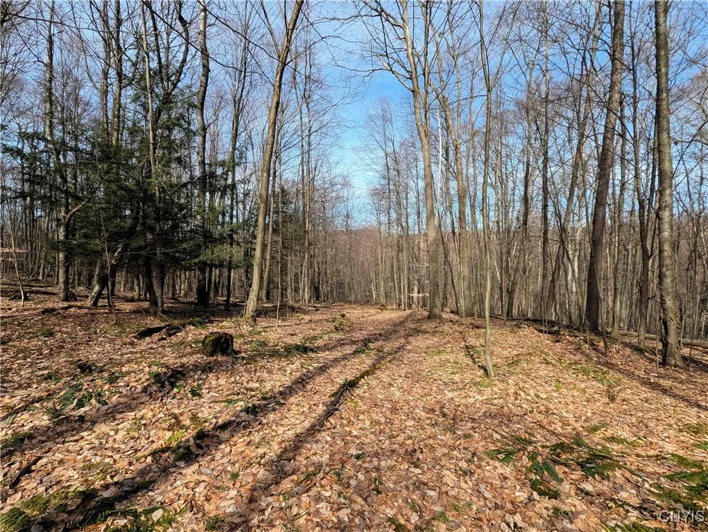 Ryan Hollow Road, Cohocton, New York 14826, Cohocton, New York 14826, ,Land,For Sale,Ryan Hollow Road, Cohocton, New York 14826,S1598089