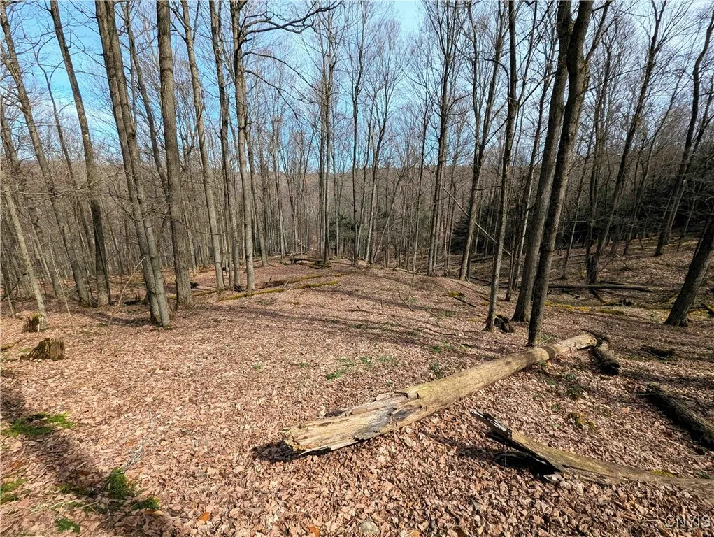 Ryan Hollow Road, Cohocton, New York 14826, Cohocton, New York 14826, ,Land,For Sale,Ryan Hollow Road, Cohocton, New York 14826,S1598089