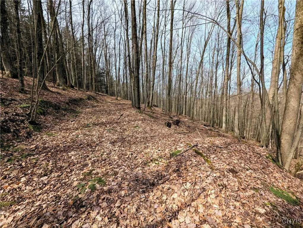 Ryan Hollow Road, Cohocton, New York 14826, Cohocton, New York 14826, ,Land,For Sale,Ryan Hollow Road, Cohocton, New York 14826,S1598089