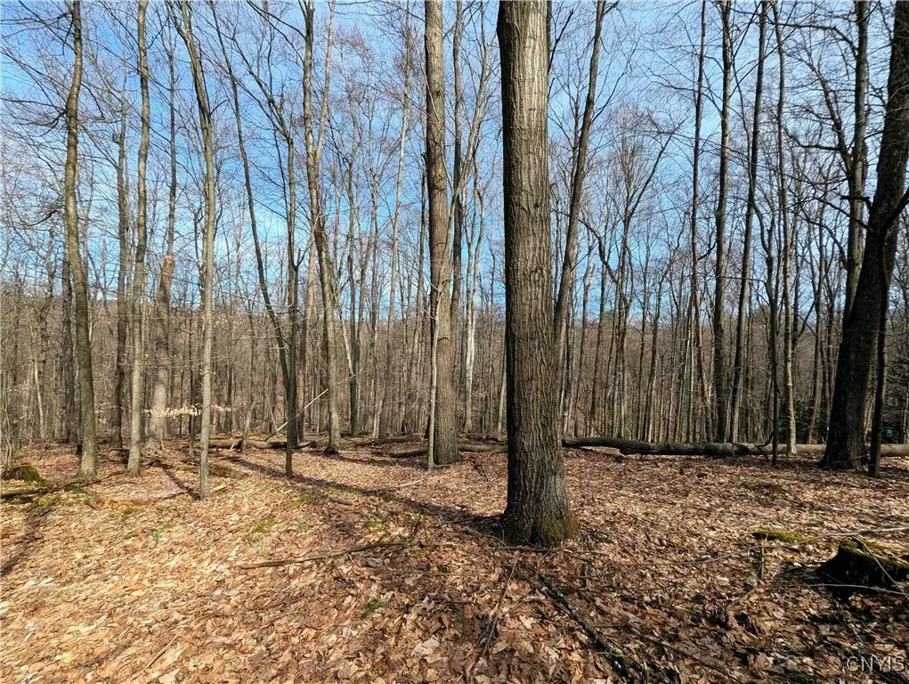Ryan Hollow Road, Cohocton, New York 14826, Cohocton, New York 14826, ,Land,For Sale,Ryan Hollow Road, Cohocton, New York 14826,S1598089
