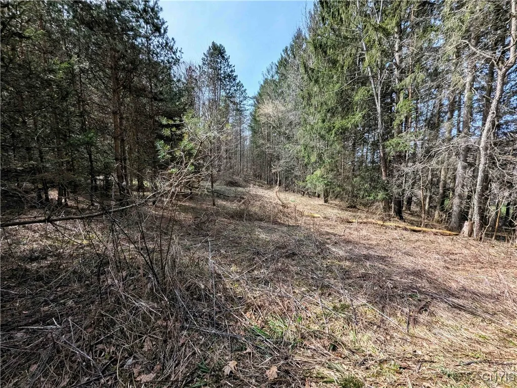 Ryan Hollow Road, Cohocton, New York 14826, Cohocton, New York 14826, ,Land,For Sale,Ryan Hollow Road, Cohocton, New York 14826,S1598089