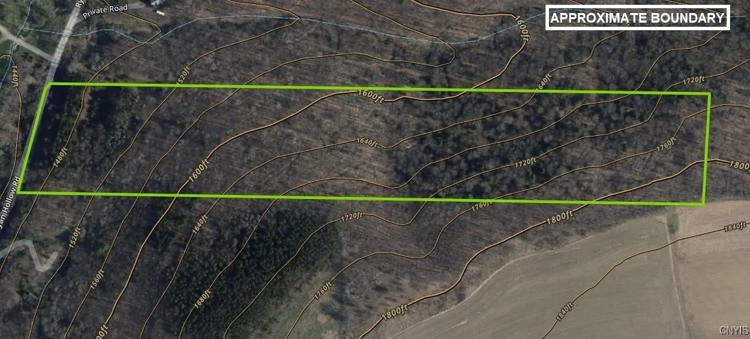Ryan Hollow Road, Cohocton, New York 14826, Cohocton, New York 14826, ,Land,For Sale,Ryan Hollow Road, Cohocton, New York 14826,S1598089