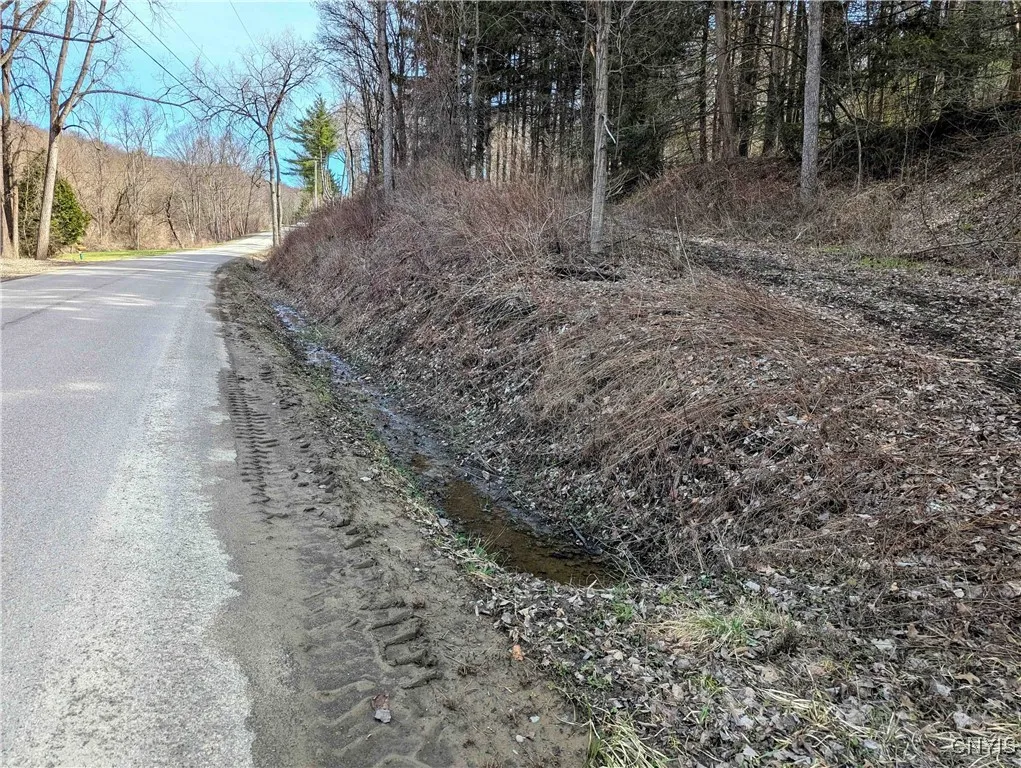 Ryan Hollow Road, Cohocton, New York 14826, Cohocton, New York 14826, ,Land,For Sale,Ryan Hollow Road, Cohocton, New York 14826,S1598089