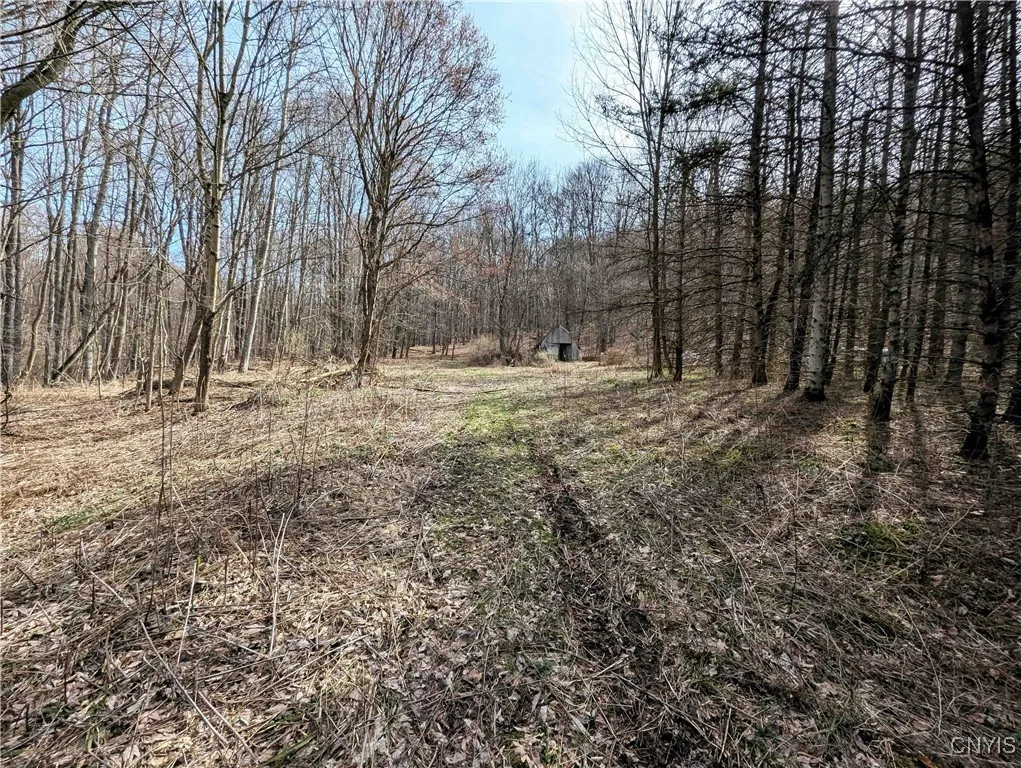 Ryan Hollow Road, Cohocton, New York 14826, Cohocton, New York 14826, ,Land,For Sale,Ryan Hollow Road, Cohocton, New York 14826,S1598089