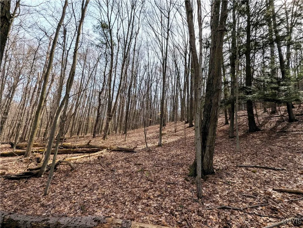 Ryan Hollow Road, Cohocton, New York 14826, Cohocton, New York 14826, ,Land,For Sale,Ryan Hollow Road, Cohocton, New York 14826,S1598089