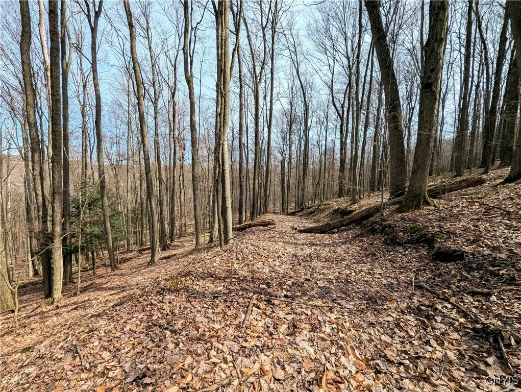 Ryan Hollow Road, Cohocton, New York 14826, Cohocton, New York 14826, ,Land,For Sale,Ryan Hollow Road, Cohocton, New York 14826,S1598089