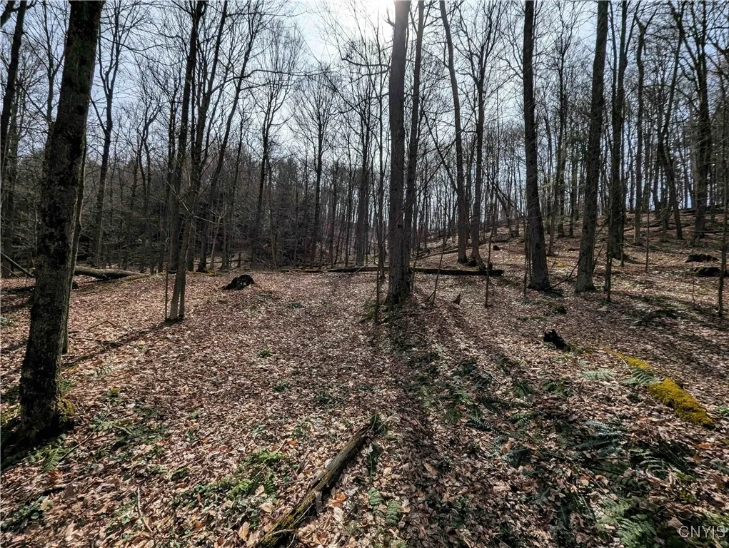 Ryan Hollow Road, Cohocton, New York 14826, Cohocton, New York 14826, ,Land,For Sale,Ryan Hollow Road, Cohocton, New York 14826,S1598089