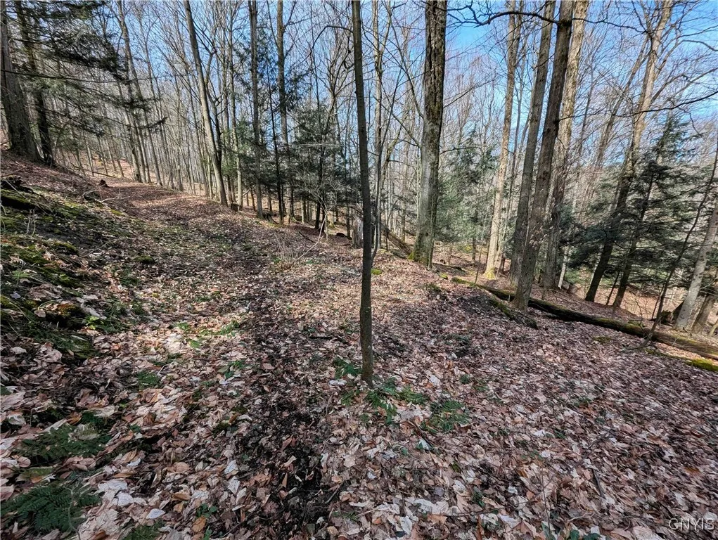 Ryan Hollow Road, Cohocton, New York 14826, Cohocton, New York 14826, ,Land,For Sale,Ryan Hollow Road, Cohocton, New York 14826,S1598089