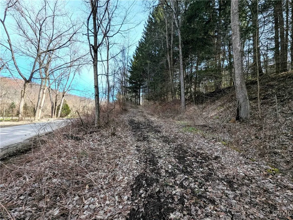 Ryan Hollow Road, Cohocton, New York 14826, Cohocton, New York 14826, ,Land,For Sale,Ryan Hollow Road, Cohocton, New York 14826,S1598089