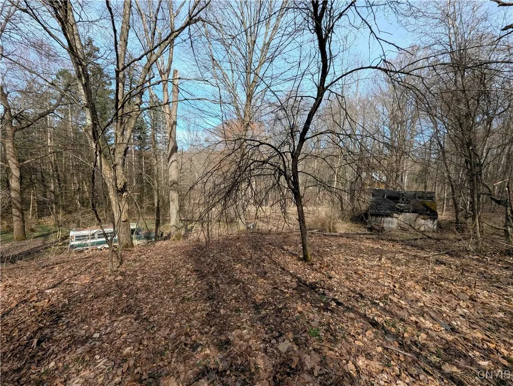 Ryan Hollow Road, Cohocton, New York 14826, Cohocton, New York 14826, ,Land,For Sale,Ryan Hollow Road, Cohocton, New York 14826,S1598089