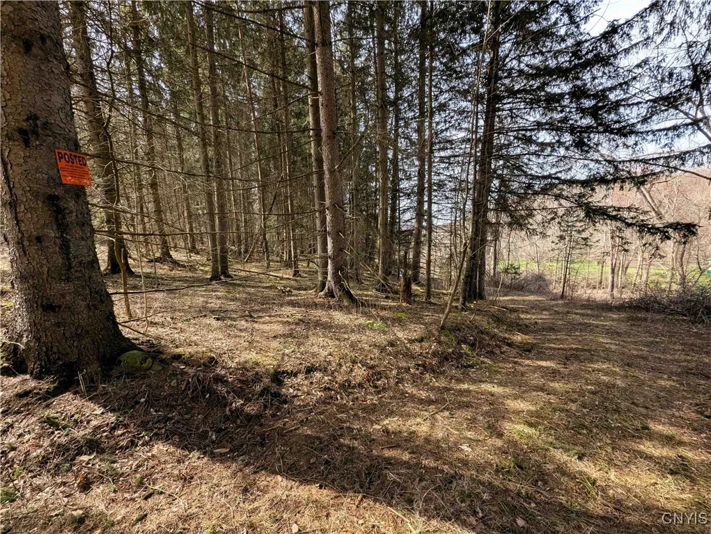 Ryan Hollow Road, Cohocton, New York 14826, Cohocton, New York 14826, ,Land,For Sale,Ryan Hollow Road, Cohocton, New York 14826,S1598089
