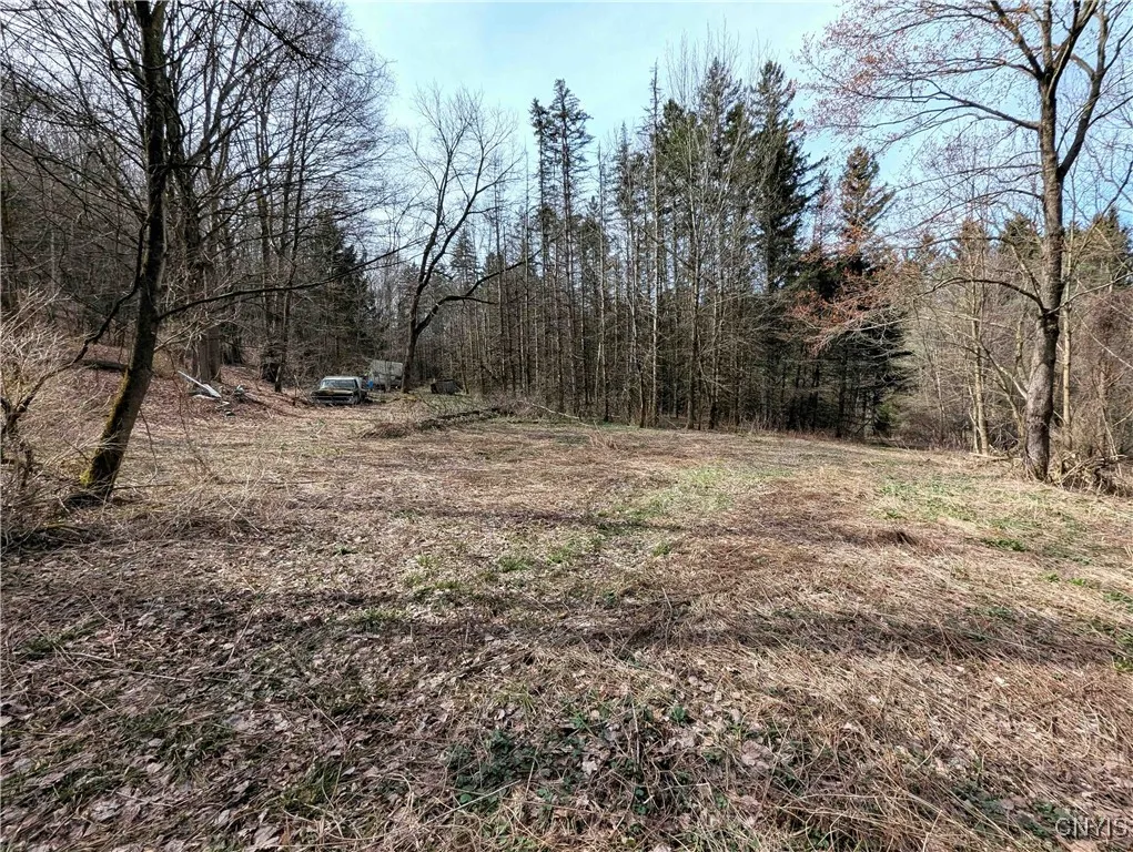 Ryan Hollow Road, Cohocton, New York 14826, Cohocton, New York 14826, ,Land,For Sale,Ryan Hollow Road, Cohocton, New York 14826,S1598089