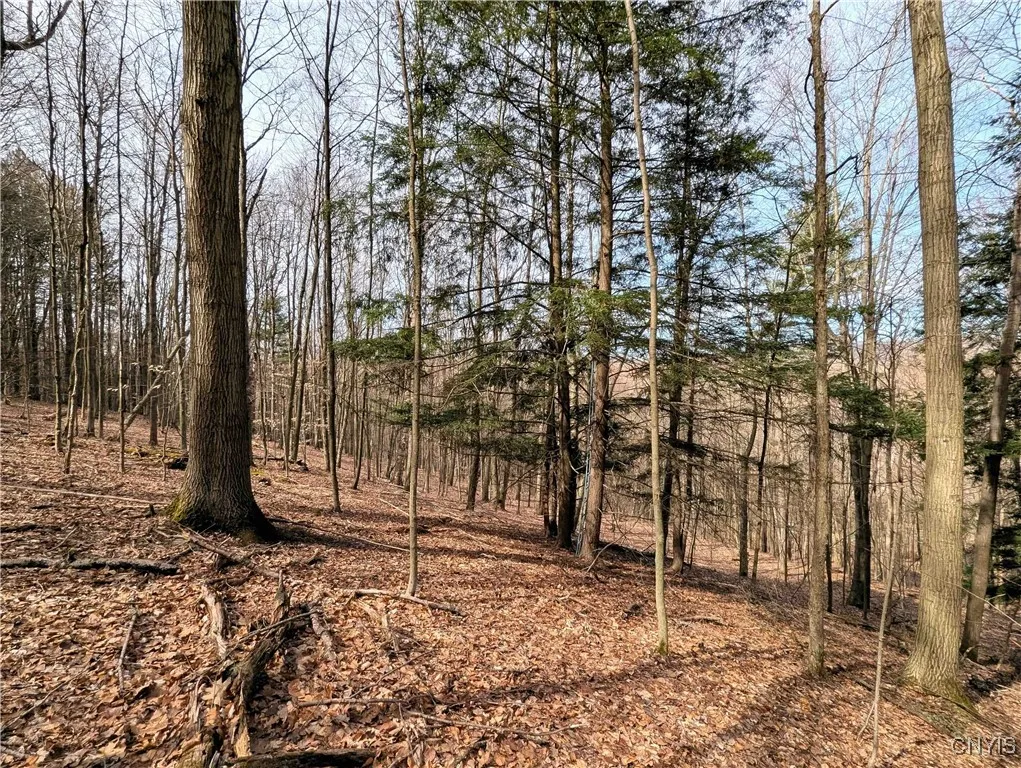 Ryan Hollow Road, Cohocton, New York 14826, Cohocton, New York 14826, ,Land,For Sale,Ryan Hollow Road, Cohocton, New York 14826,S1598089