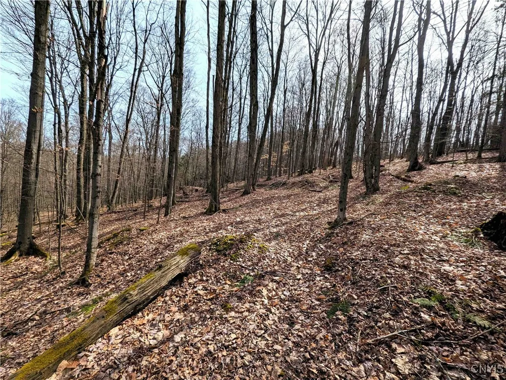 Ryan Hollow Road, Cohocton, New York 14826, Cohocton, New York 14826, ,Land,For Sale,Ryan Hollow Road, Cohocton, New York 14826,S1598089