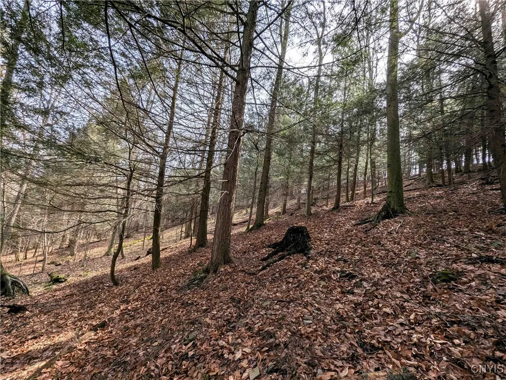 Ryan Hollow Road, Cohocton, New York 14826, Cohocton, New York 14826, ,Land,For Sale,Ryan Hollow Road, Cohocton, New York 14826,S1598089