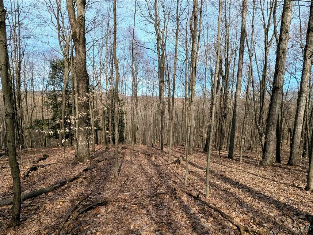 Ryan Hollow Road, Cohocton, New York 14826, Cohocton, New York 14826, ,Land,For Sale,Ryan Hollow Road, Cohocton, New York 14826,S1598089
