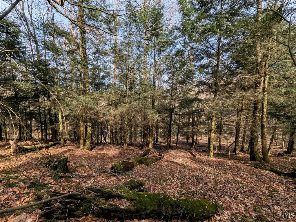 Ryan Hollow Road, Cohocton, New York 14826, Cohocton, New York 14826, ,Land,For Sale,Ryan Hollow Road, Cohocton, New York 14826,S1598089