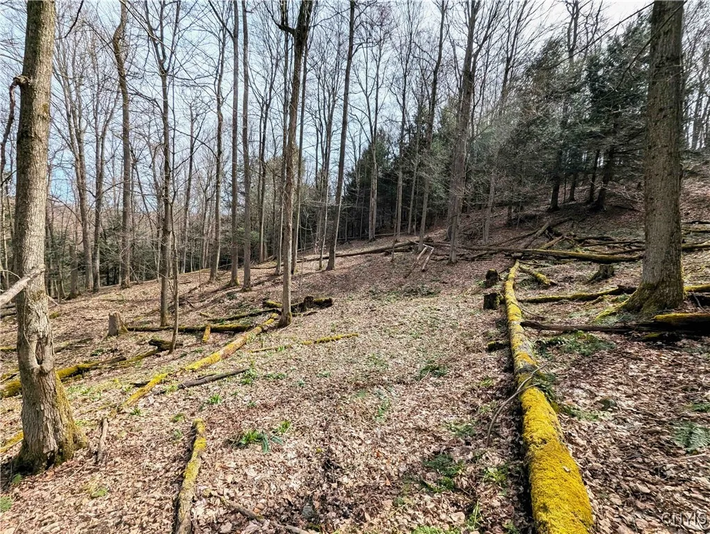 Ryan Hollow Road, Cohocton, New York 14826, Cohocton, New York 14826, ,Land,For Sale,Ryan Hollow Road, Cohocton, New York 14826,S1598089