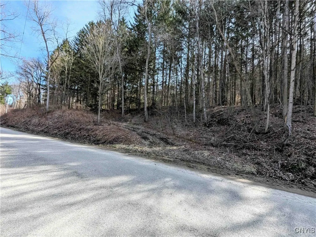 Ryan Hollow Road, Cohocton, New York 14826, Cohocton, New York 14826, ,Land,For Sale,Ryan Hollow Road, Cohocton, New York 14826,S1598089