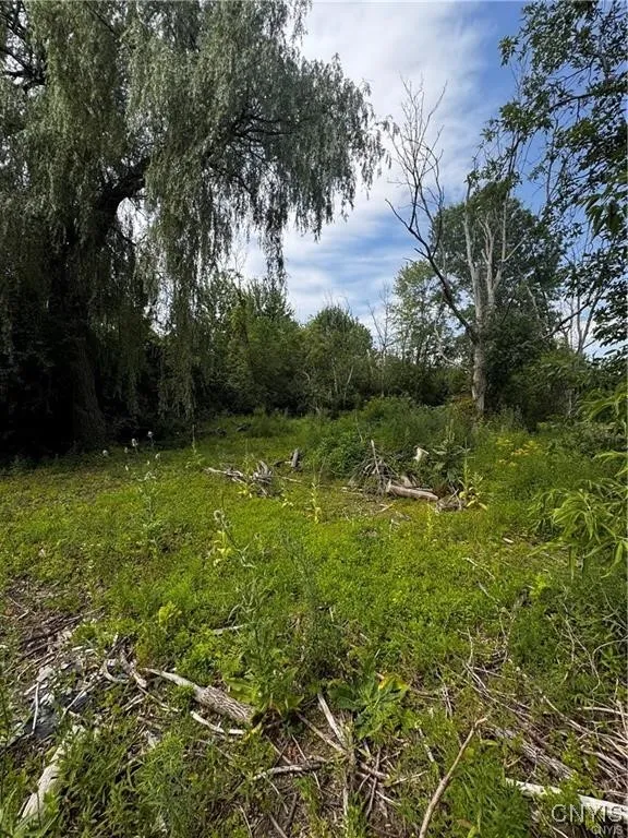 6393 Fremont Road, Manlius, New York 13057, Manlius, New York 13057, ,Land,For Sale,6393 Fremont Road, Manlius, New York 13057,0,S1598077