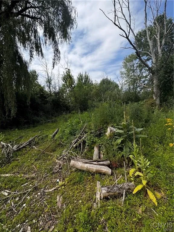 6393 Fremont Road, Manlius, New York 13057, Manlius, New York 13057, ,Land,For Sale,6393 Fremont Road, Manlius, New York 13057,0,S1598077