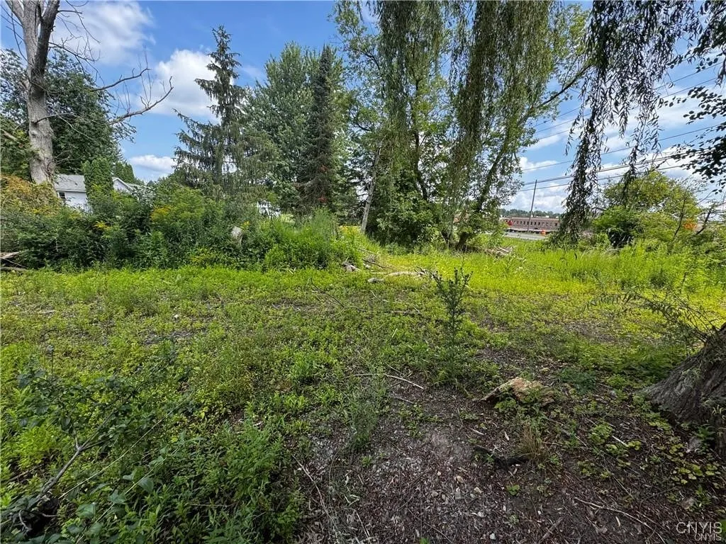 6393 Fremont Road, Manlius, New York 13057, Manlius, New York 13057, ,Land,For Sale,6393 Fremont Road, Manlius, New York 13057,0,S1598077
