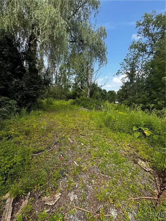6393 Fremont Road, Manlius, New York 13057, Manlius, New York 13057, ,Land,For Sale,6393 Fremont Road, Manlius, New York 13057,0,S1598077