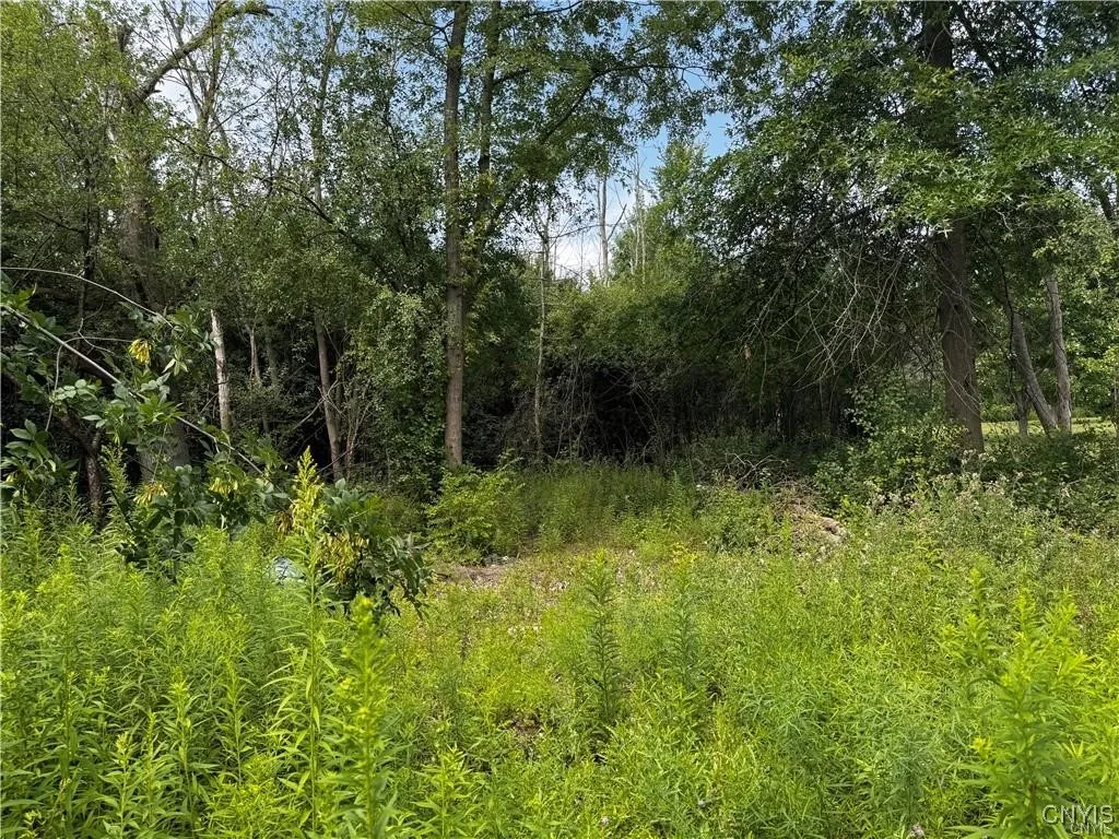 6393 Fremont Road, Manlius, New York 13057, Manlius, New York 13057, ,Land,For Sale,6393 Fremont Road, Manlius, New York 13057,0,S1598077