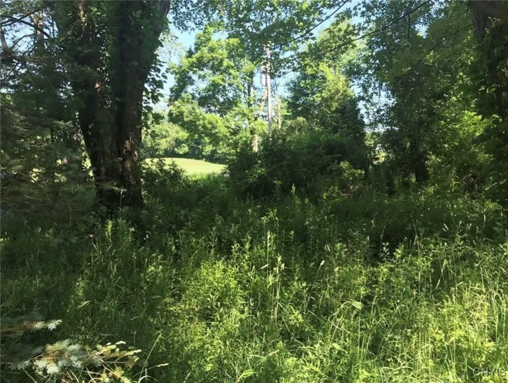 1327 Old State Road, Sterling, New York 13156, Sterling, New York 13156, ,Land,Closed,1327 Old State Road, Sterling, New York 13156,0,S1598283