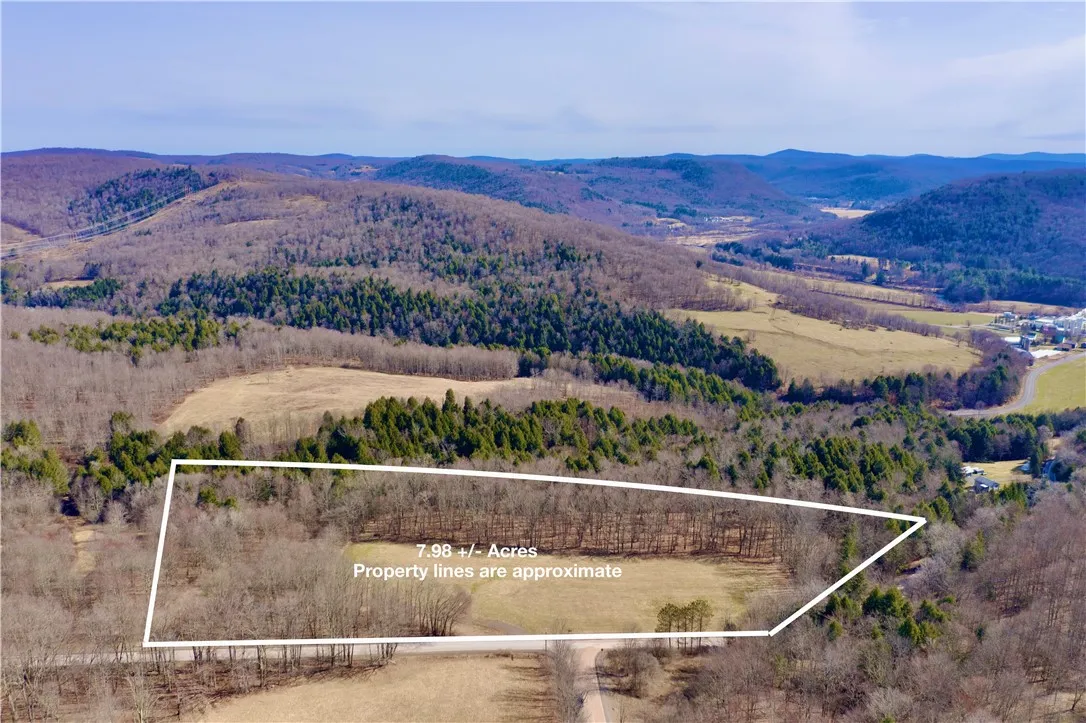 Hamden Hill Road, Delhi, New York 13753, Delhi, New York 13753, ,Land,For Sale,Hamden Hill Road, Delhi, New York 13753,0,R1598141