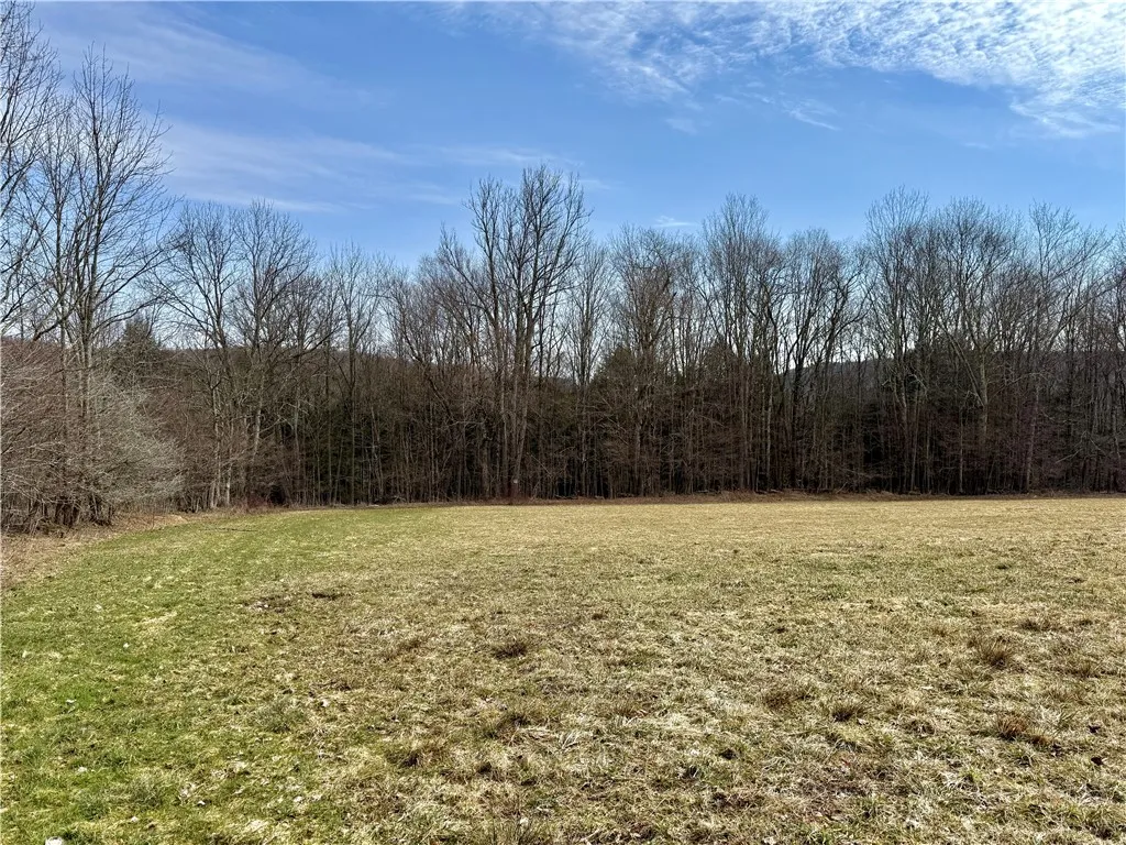 Hamden Hill Road, Delhi, New York 13753, Delhi, New York 13753, ,Land,For Sale,Hamden Hill Road, Delhi, New York 13753,0,R1598141
