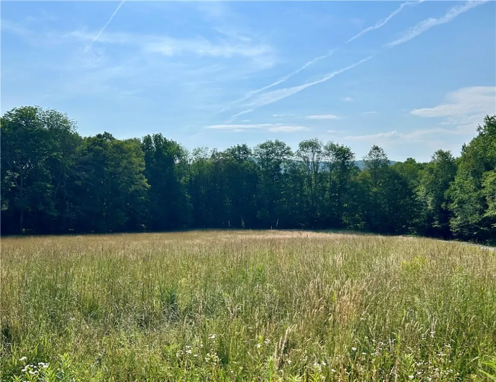 Hamden Hill Road, Delhi, New York 13753, Delhi, New York 13753, ,Land,For Sale,Hamden Hill Road, Delhi, New York 13753,0,R1598141