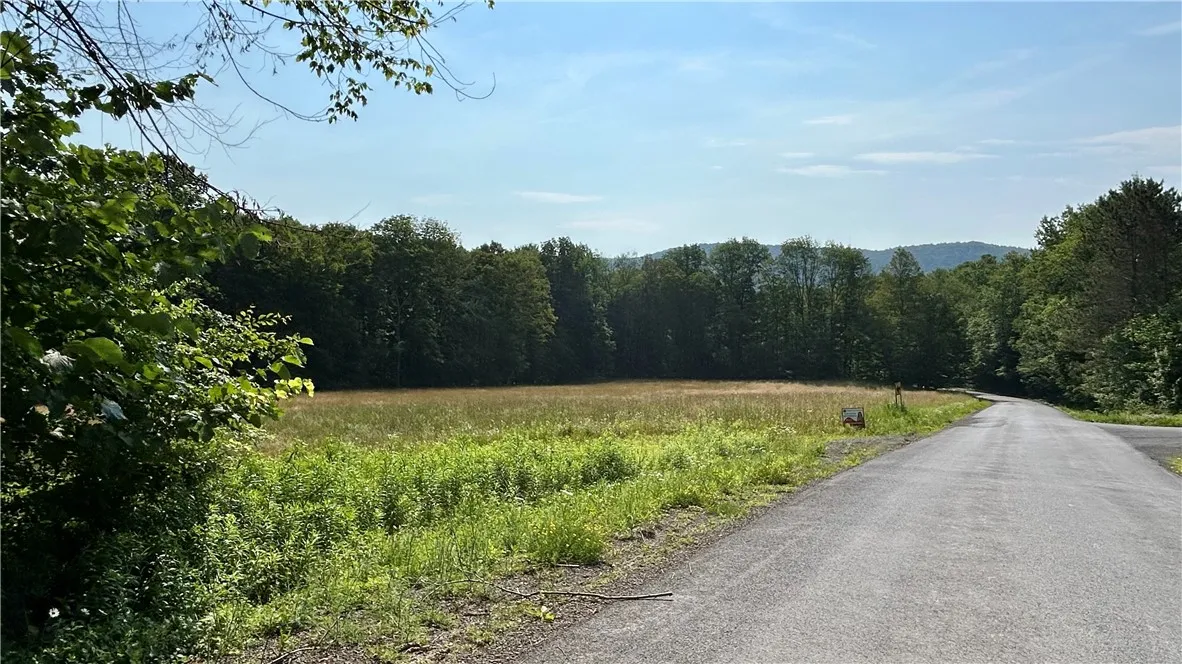 Hamden Hill Road, Delhi, New York 13753, Delhi, New York 13753, ,Land,For Sale,Hamden Hill Road, Delhi, New York 13753,0,R1598141