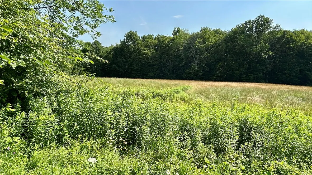 Hamden Hill Road, Delhi, New York 13753, Delhi, New York 13753, ,Land,For Sale,Hamden Hill Road, Delhi, New York 13753,0,R1598141