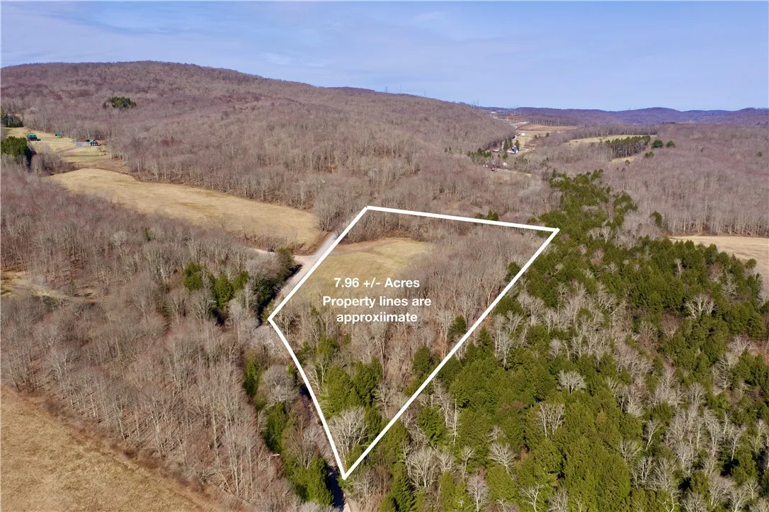 Hamden Hill Road, Delhi, New York 13753, Delhi, New York 13753, ,Land,For Sale,Hamden Hill Road, Delhi, New York 13753,0,R1598141
