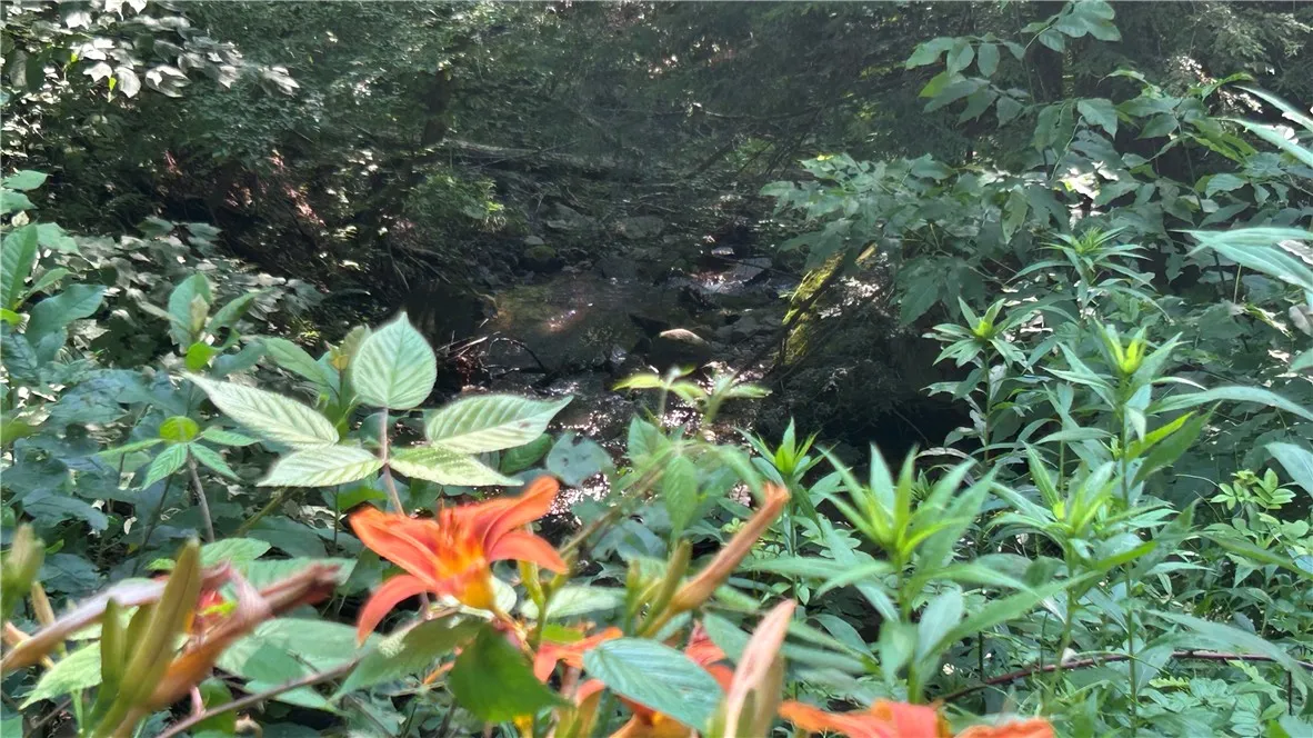 Hamden Hill Road, Delhi, New York 13753, Delhi, New York 13753, ,Land,For Sale,Hamden Hill Road, Delhi, New York 13753,0,R1598141
