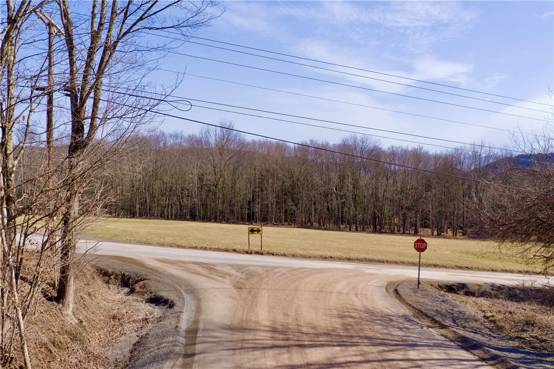 Hamden Hill Road, Delhi, New York 13753, Delhi, New York 13753, ,Land,For Sale,Hamden Hill Road, Delhi, New York 13753,0,R1598141