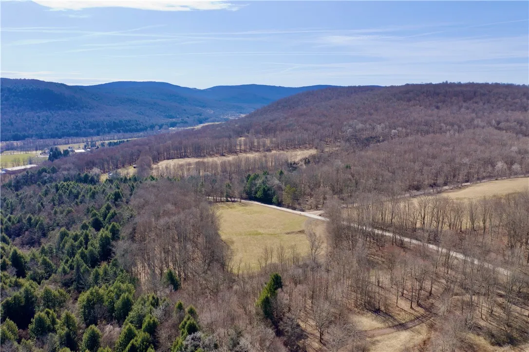 Hamden Hill Road, Delhi, New York 13753, Delhi, New York 13753, ,Land,For Sale,Hamden Hill Road, Delhi, New York 13753,0,R1598141