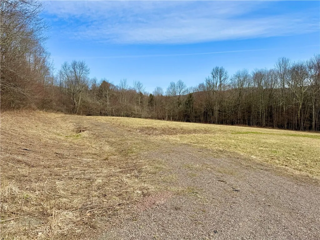 Hamden Hill Road, Delhi, New York 13753, Delhi, New York 13753, ,Land,For Sale,Hamden Hill Road, Delhi, New York 13753,0,R1598141