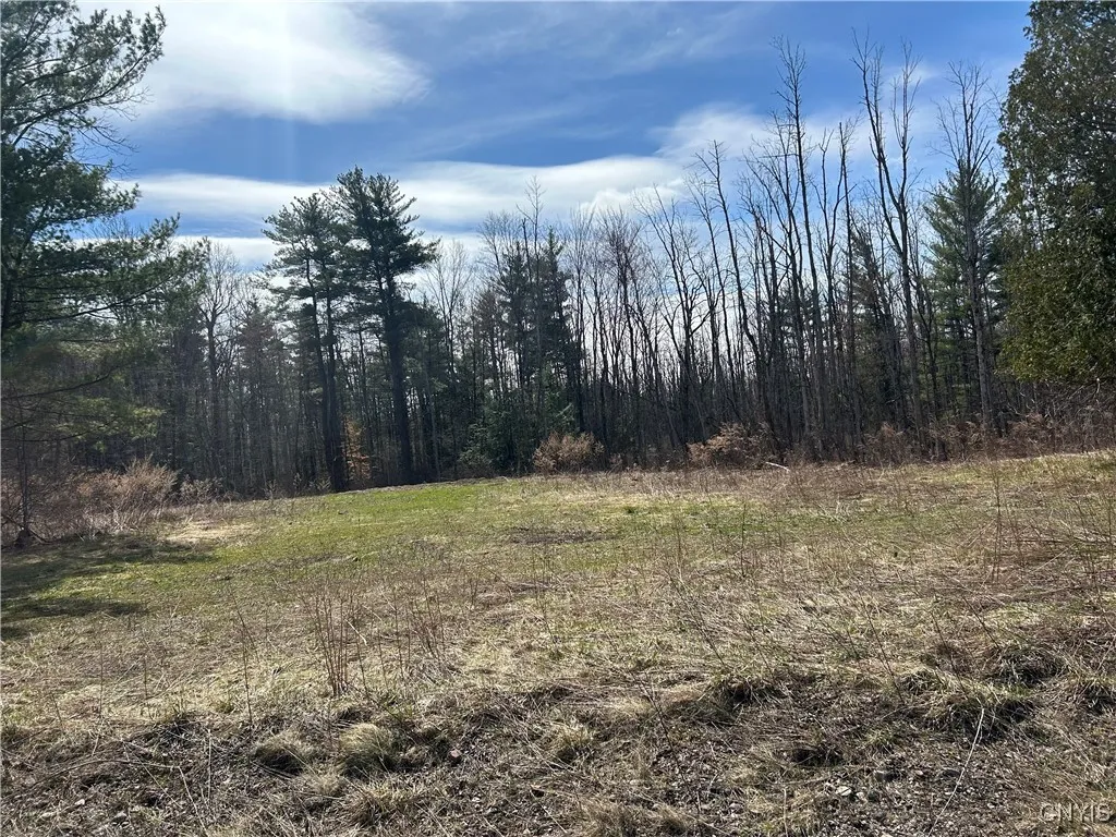 1928 Church Road, Lysander, New York 13027, Lysander, New York 13027, ,Land,Closed,1928 Church Road, Lysander, New York 13027,S1598429